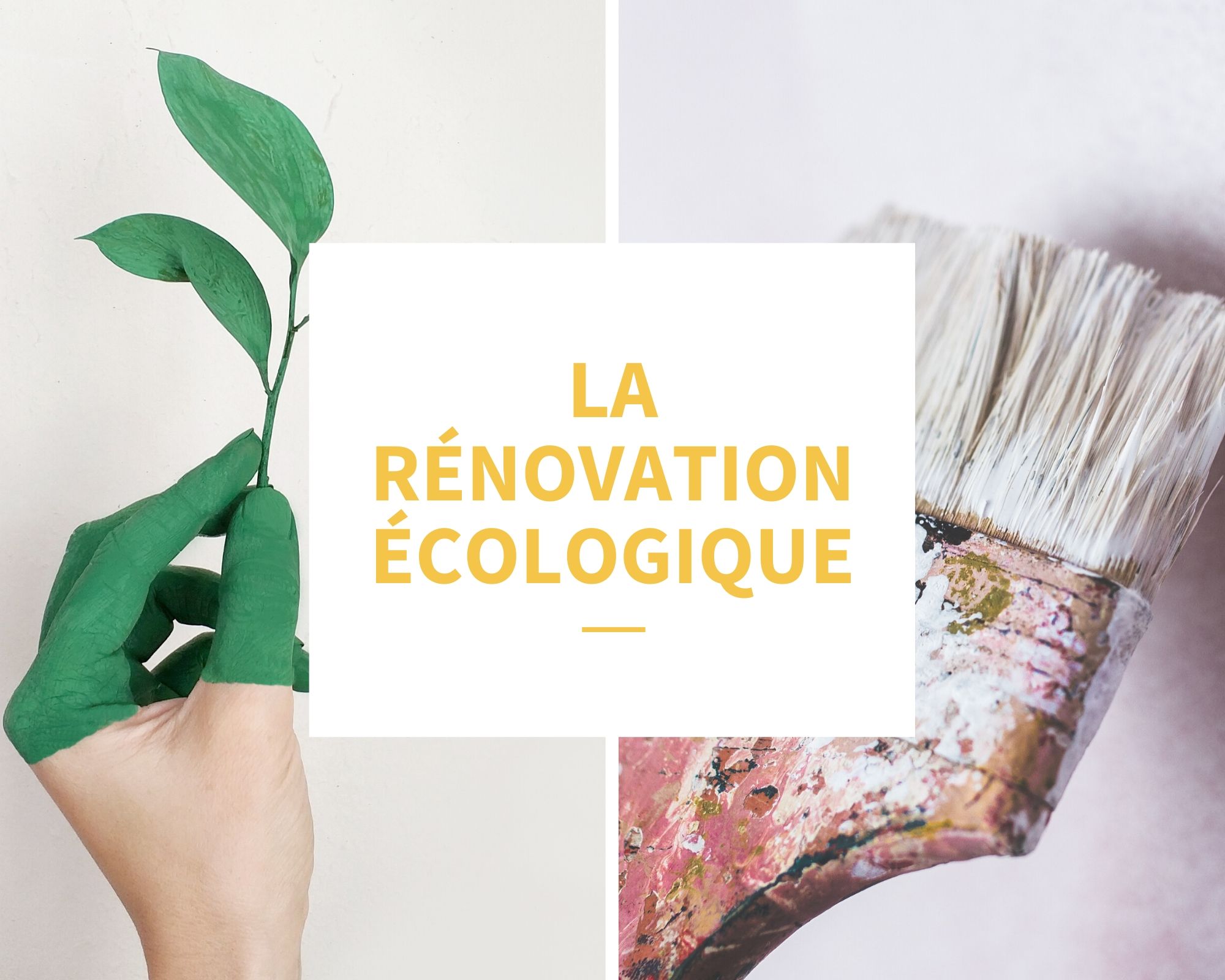 rénovation écologique